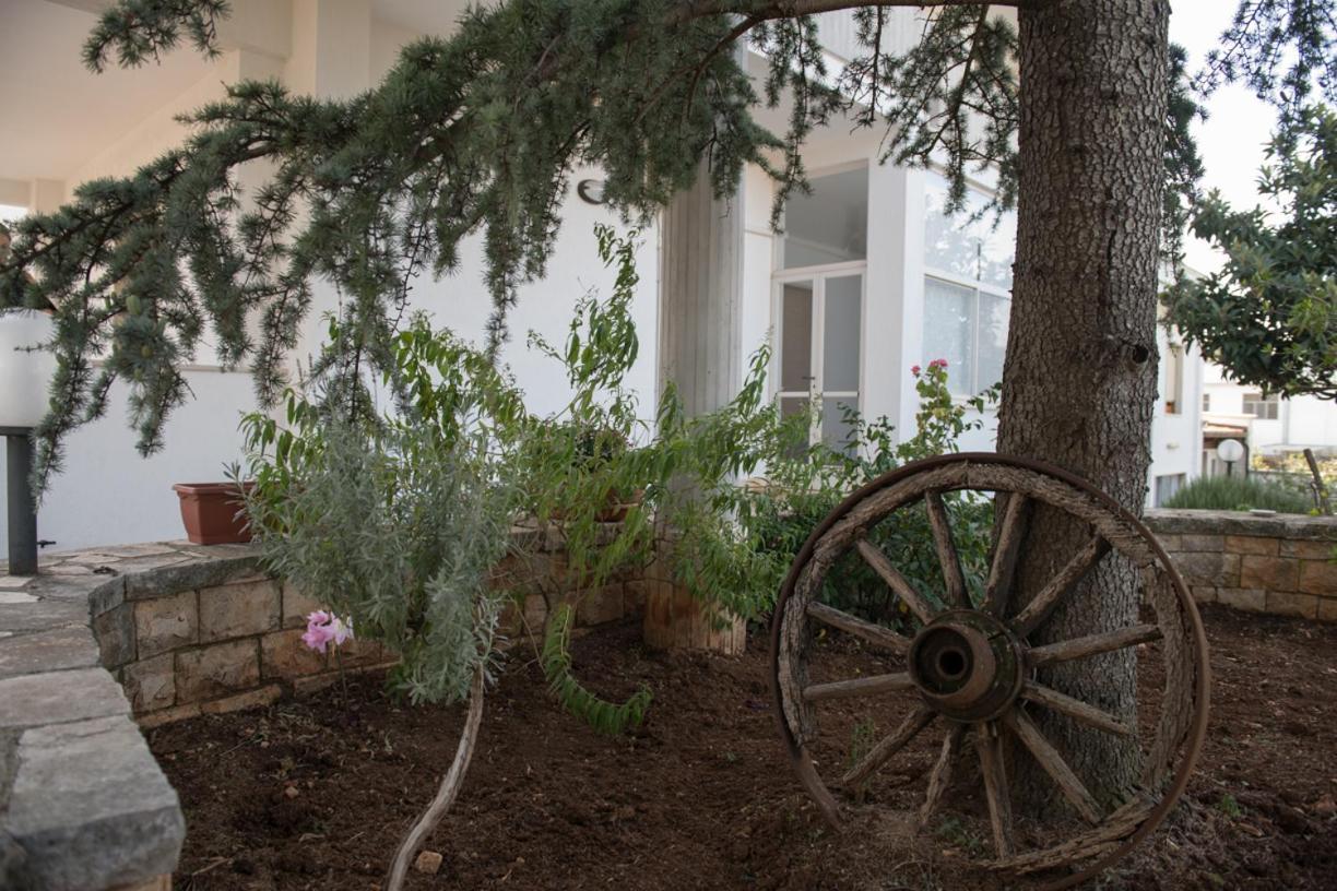 B&B Cenzina Alberobello Eksteriør bilde
